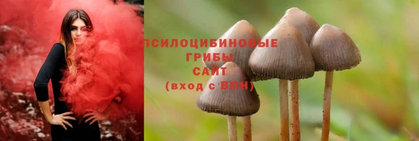 гидропоника Алзамай