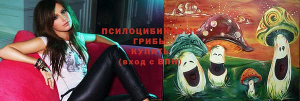 гидропоника Алзамай