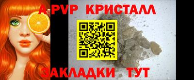 2c-b Кингисепп