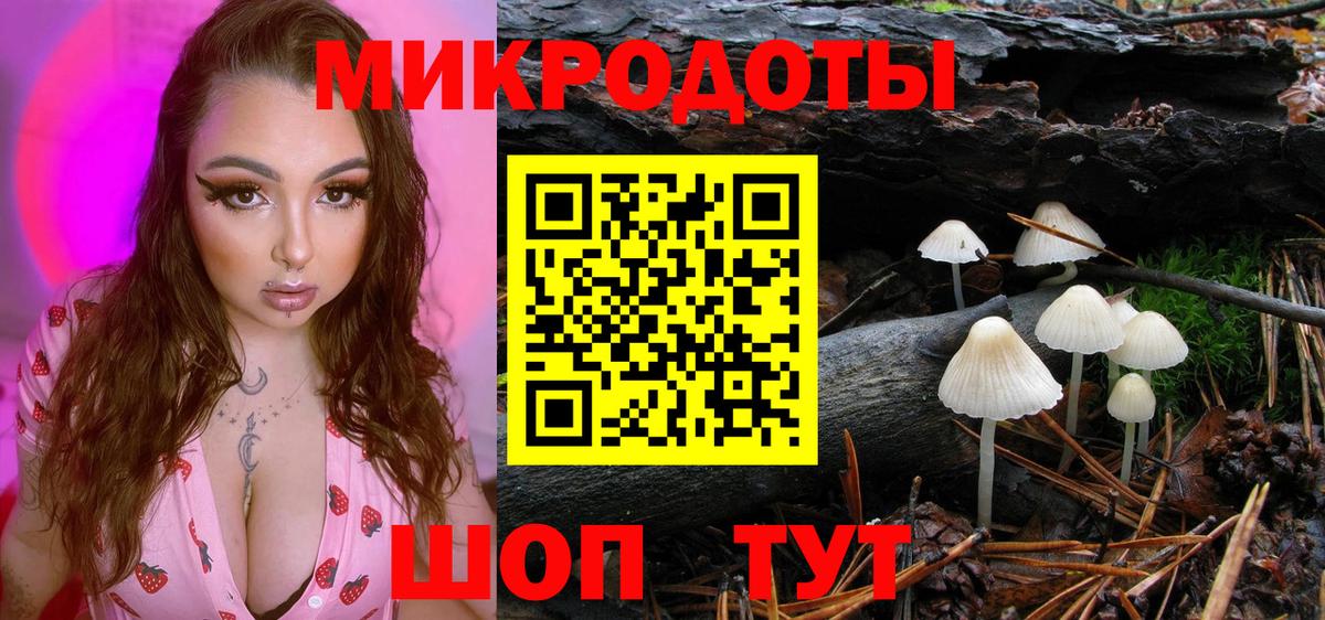 Галлюциногенные грибы GOLDEN TEACHER  Вход с VPN  Красноармейск 