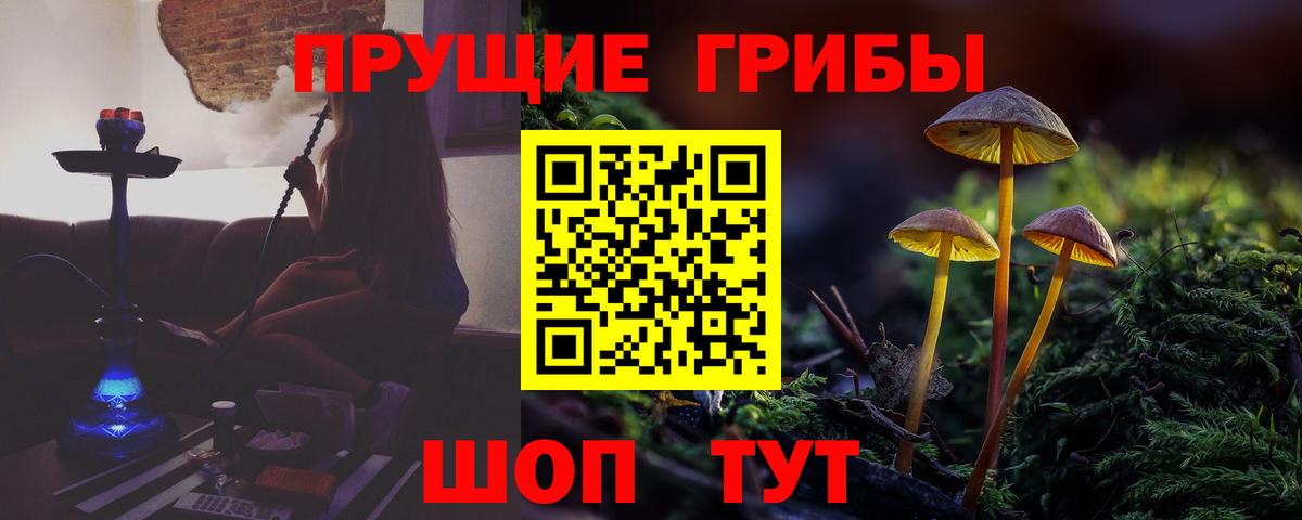 Галлюциногенные грибы ЛСД Красноармейск